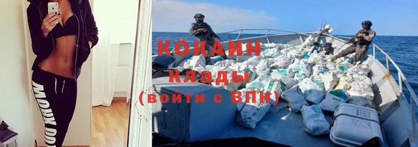 дмт Дмитровск