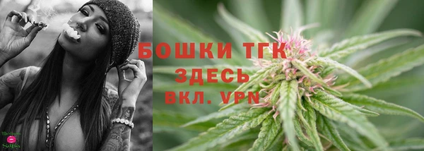 мет Дмитров