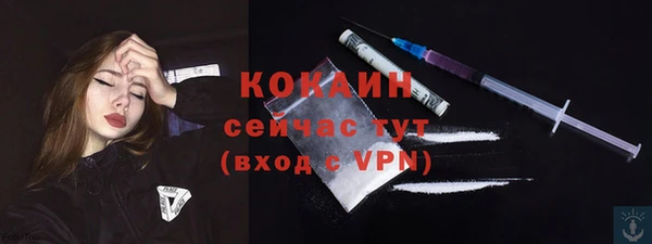 мет Дмитров