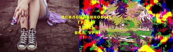 мет Дмитров