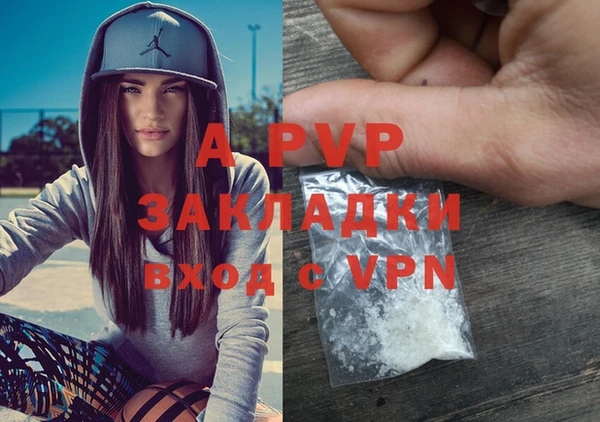 дмт Дмитровск