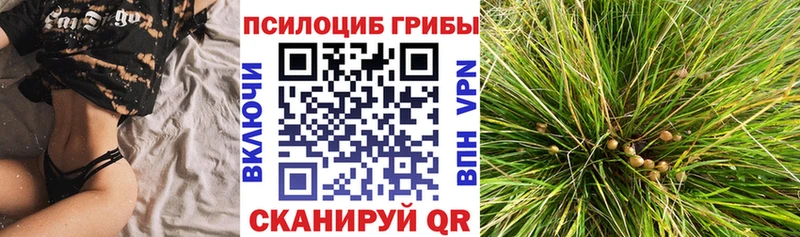 Купить закладки  Далматово  Галлюциногенные грибы мицелий 
